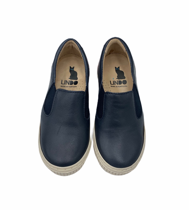 Lindo Navy Rainbow Slip On Sneaker 5913